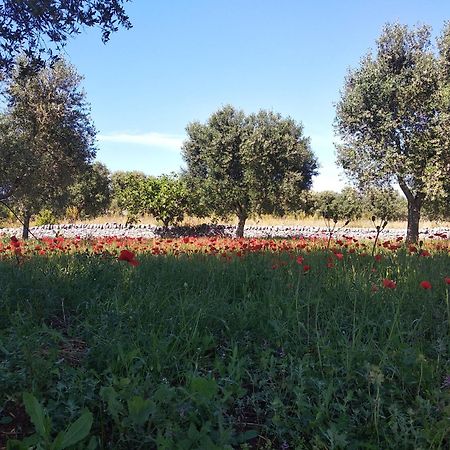 Apartament Piccolo Trullo Ostunese Le Jardin De Sophie' Ostuni Zewnętrze zdjęcie