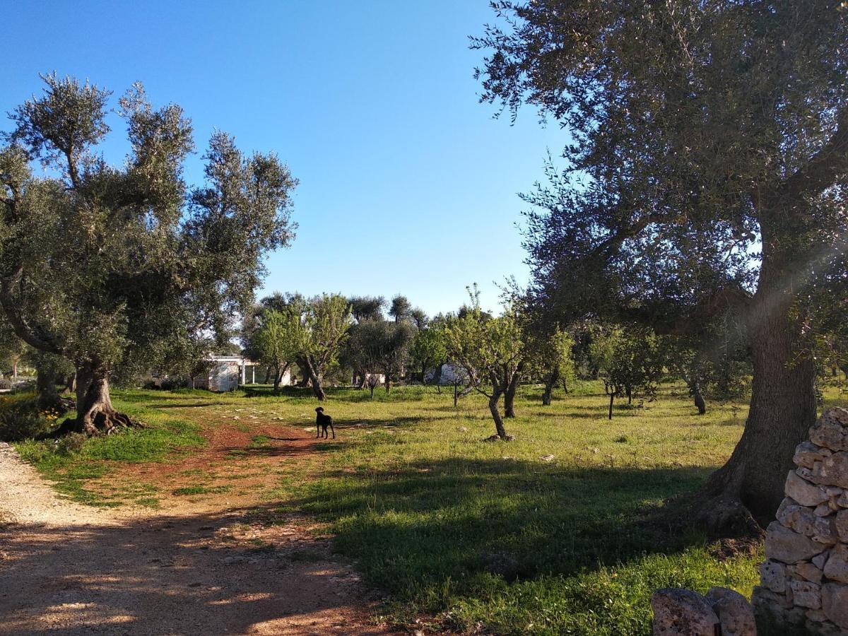 Apartament Piccolo Trullo Ostunese Le Jardin De Sophie' Ostuni Zewnętrze zdjęcie