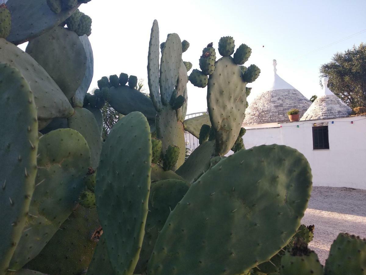 Apartament Piccolo Trullo Ostunese Le Jardin De Sophie' Ostuni Zewnętrze zdjęcie