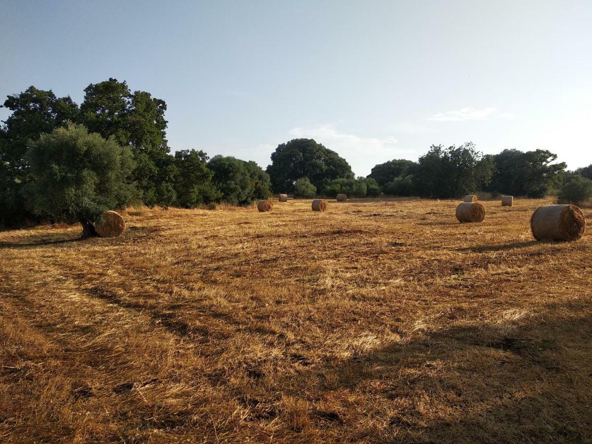 Apartament Piccolo Trullo Ostunese Le Jardin De Sophie' Ostuni Zewnętrze zdjęcie