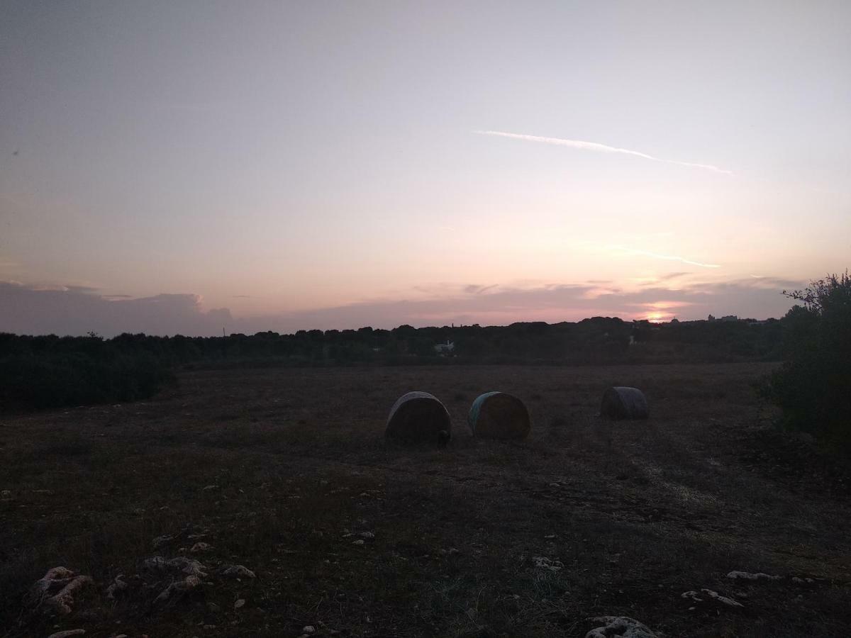 Apartament Piccolo Trullo Ostunese Le Jardin De Sophie' Ostuni Zewnętrze zdjęcie